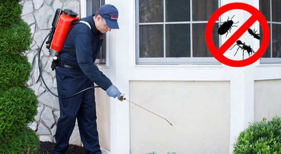 Çiğli Akrep İlaçlama böcek ilaçlama ve haşere kontrolü — ilaclama-tr.com
